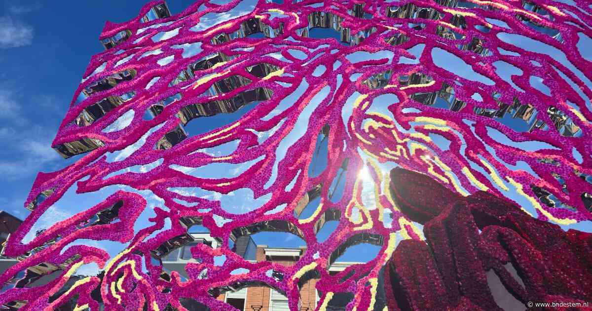 Dit is de winnaar van het Zundertse Bloemencorso 2026