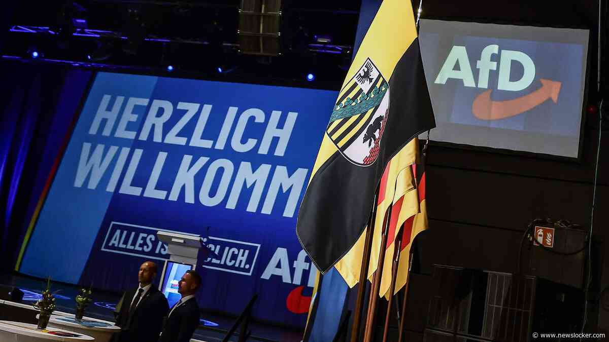 AfD grote winnaar bij verkiezingen Saksen-Anhalt