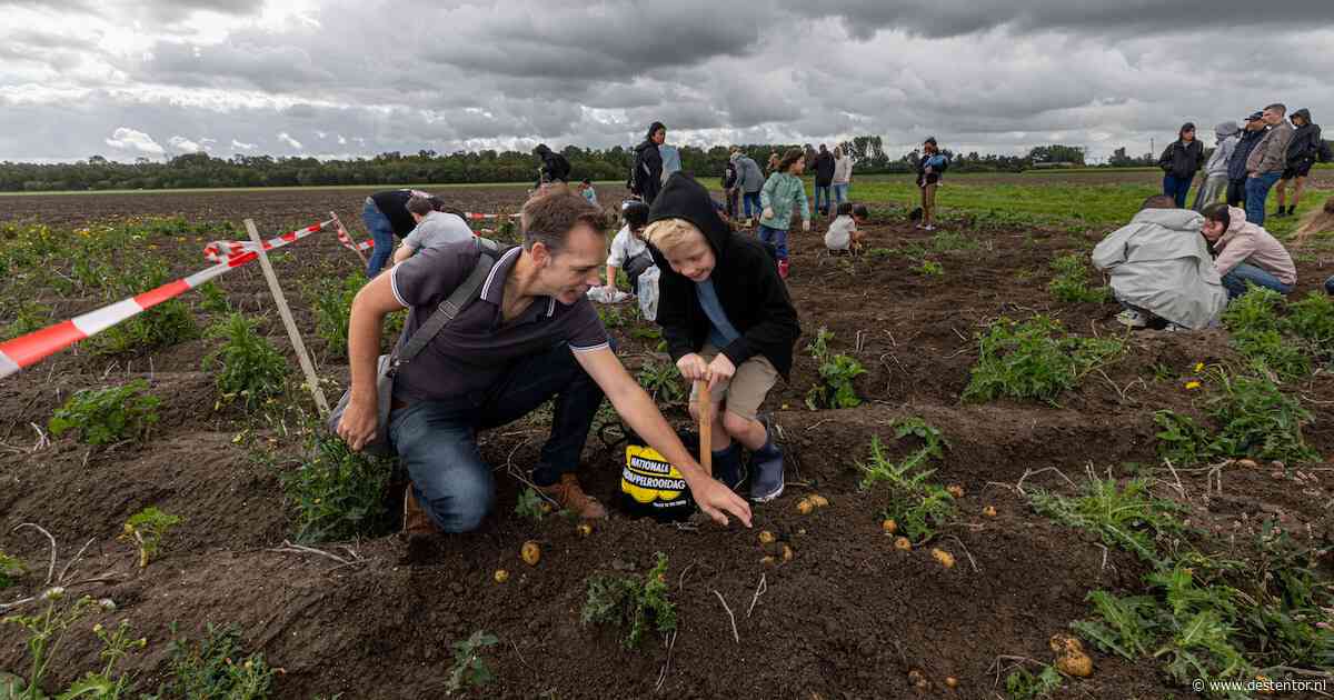 De aardappel wordt gevierd op het erf van boer Florian, maar iets verderop overlijdt diezelfde ochtend zijn collega