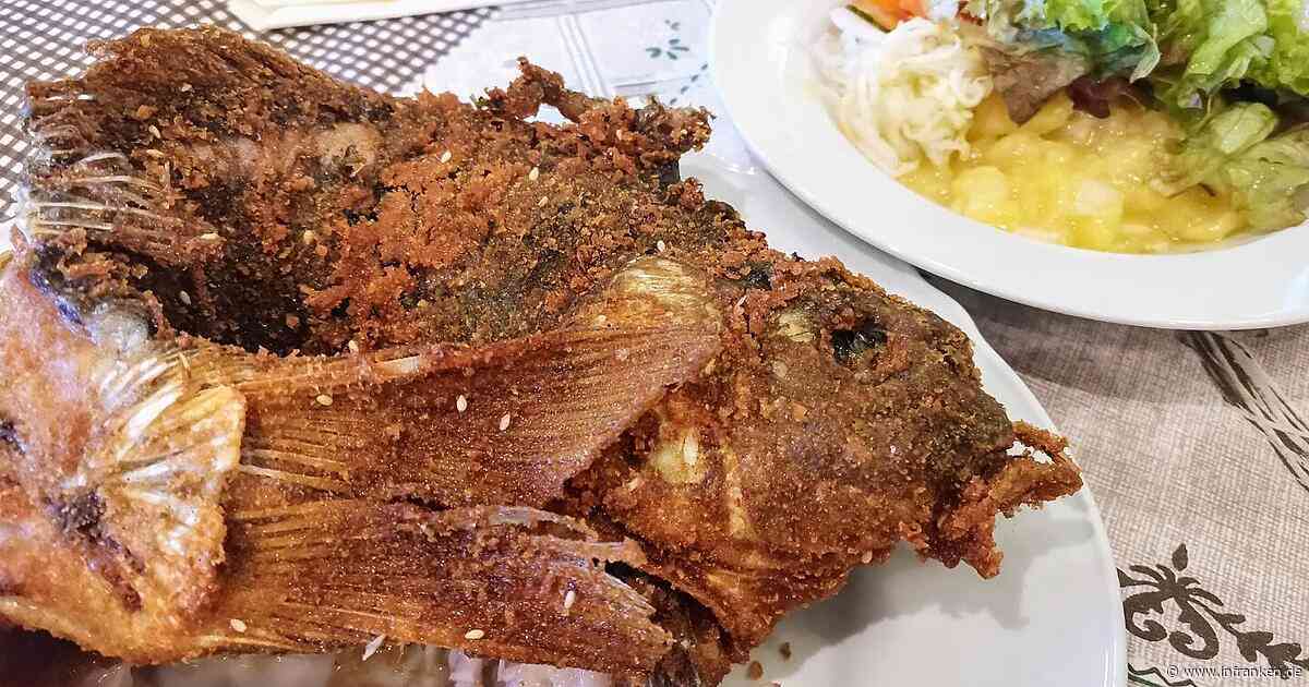 Top 6: In diesen Restaurants gibt es den besten Karpfen in Franken