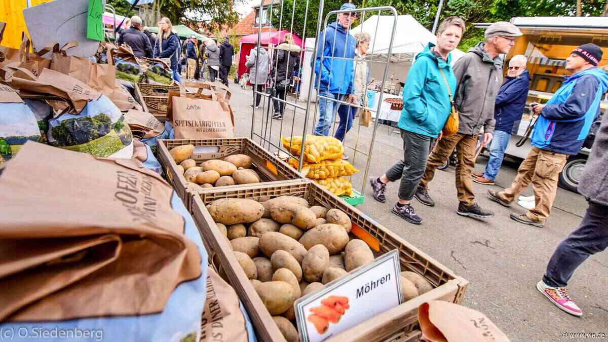 Über 120 Aussteller: Großer Kartoffelmarkt und Blumen- und Pflanzenmarkt in NRW