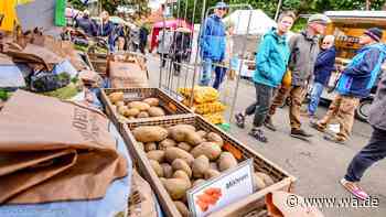 Über 120 Aussteller: Großer Kartoffelmarkt und Blumen- und Pflanzenmarkt in NRW