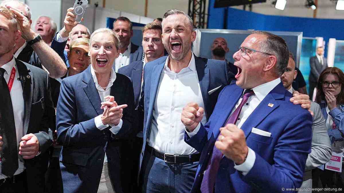 Wahl in Sachsen-Anhalt: AfD vorn – Siegmund will „die Hand ausstrecken“