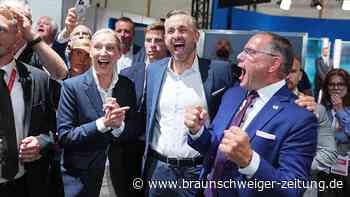 Wahl in Sachsen-Anhalt: AfD vorn – Siegmund will „die Hand ausstrecken“
