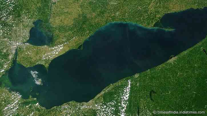 After a 25-acre Lake Erie wetland was reconnected, sonar recorded 3.44 million fish detections