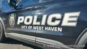 Suspect bit police K-9 while being apprehended by officers in West Haven: police