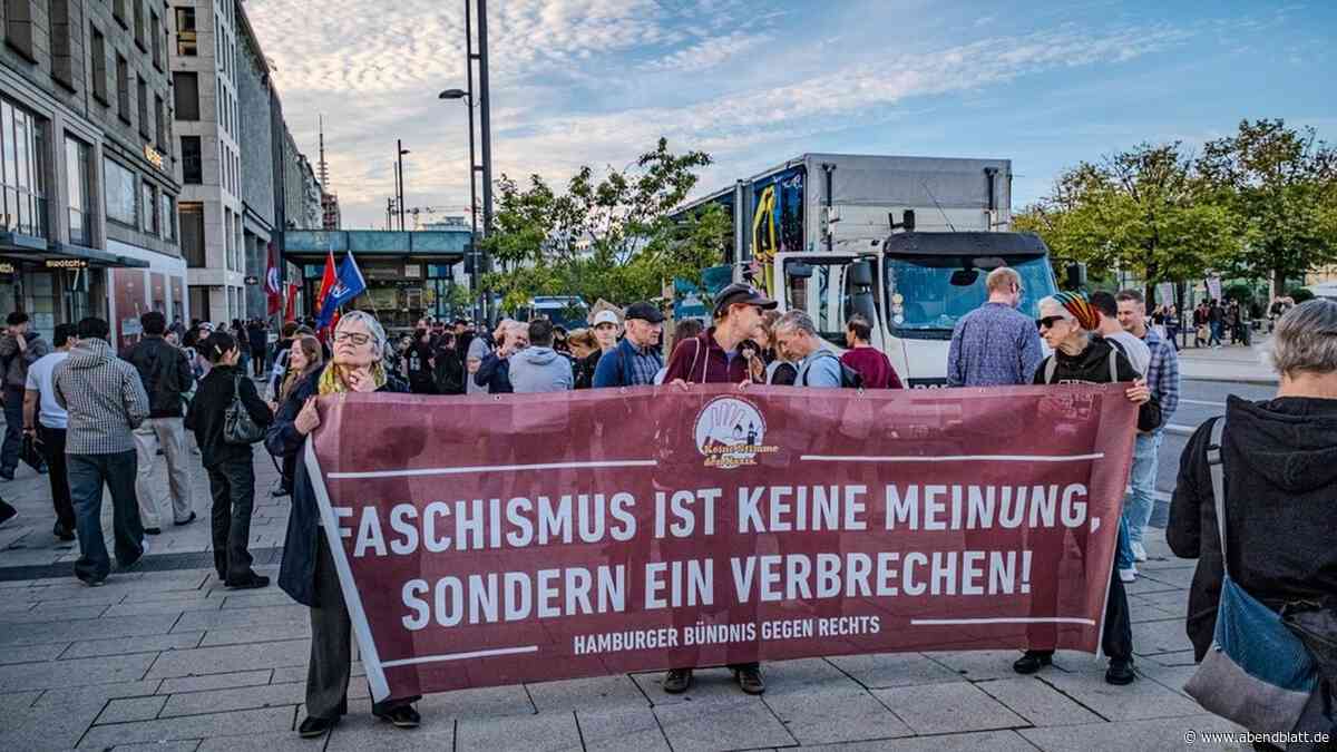 AfD kratzt an absoluter Mehrheit: Hamburger demonstrieren in der Innenstadt