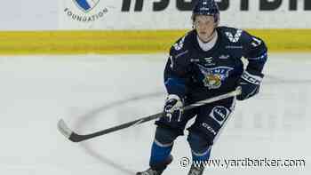Grant McCagg believes that Aatos Koivu is ahead of Oliver Kapanen at the same age