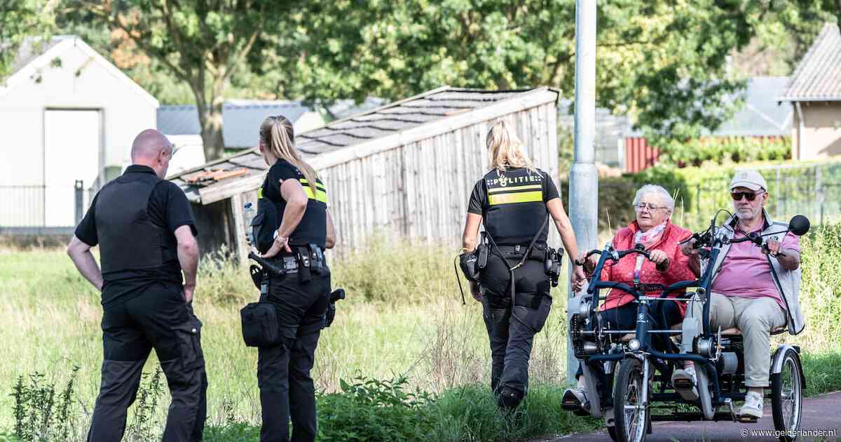 Hoe Overasselt de draad weer oppakt, met roze koeken en kinderen die houten koeien melken