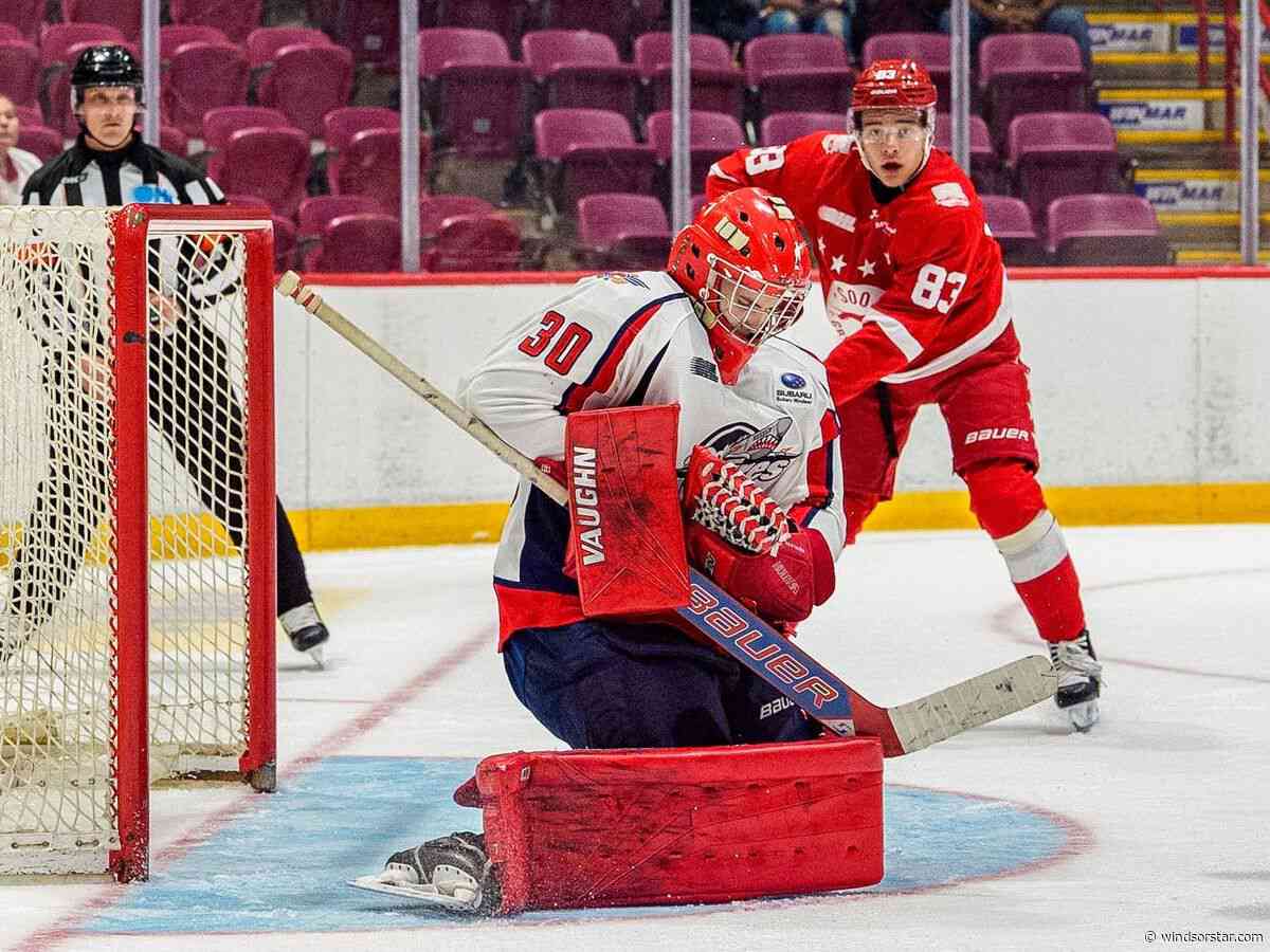 Spitfires may have gotten a few answers to some roster questions with road win over Greyhounds