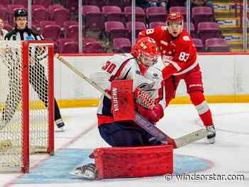 Spitfires may have gotten a few answers to some roster questions with road win over Greyhounds