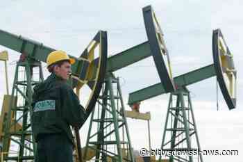 La OPEP+ congela su producción de petróleo pese a meses de subidas y crisis de exportación