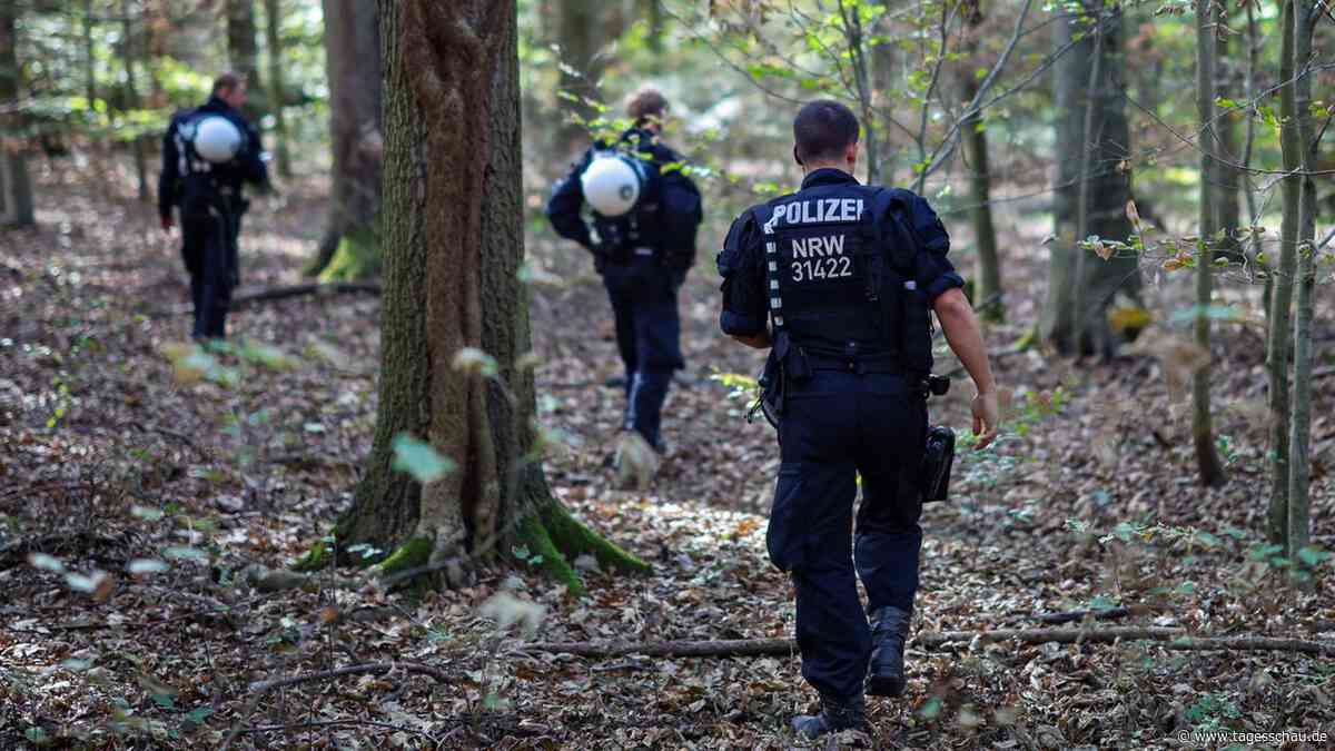 Hambacher Forst: Fahndung nach mutmaßlichem Saboteur beendet