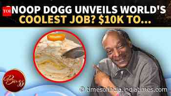 Snoop Dogg OFFERS $10K-A-MONTH Dream Job to Travel the World Tasting Ice Cream