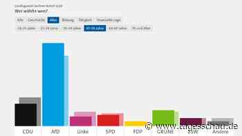 Wahlverhalten bei der Landtagswahl in Sachsen-Anhalt 2026