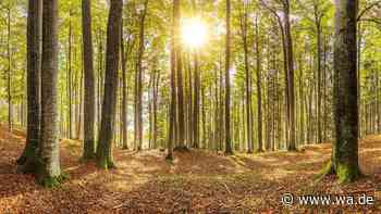 Bis zu 30 Grad zum Wochenstart in NRW – doch Wetterwechsel steht schon bevor