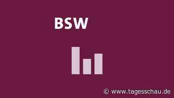 Wie die Wählenden in Sachsen-Anhalt über das BSW denken