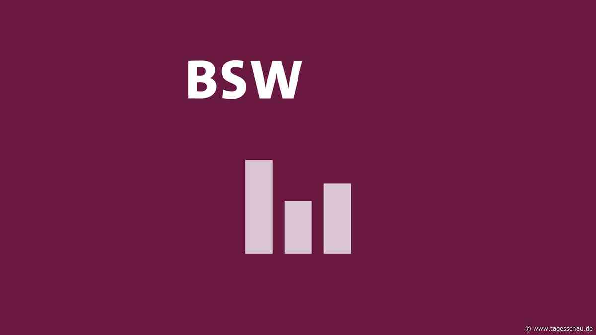 Wie die Wählenden in Sachsen-Anhalt über das BSW denken