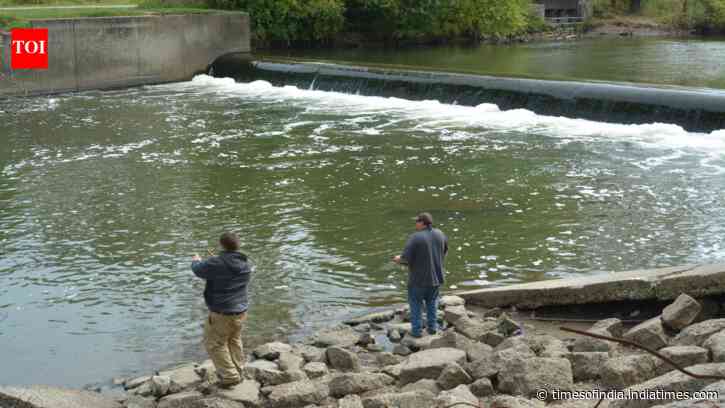 After Brecksville Dam was removed, free-flowing habitat linked to Lake Erie more than doubled to 71 km