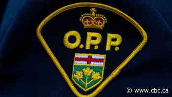 Missing kayaker found dead in Lake Huron: OPP