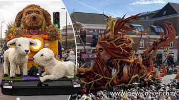 Vol bloemen en spektakel: jaarlijks Bloemencorso Zundert weer van start