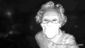 Ex-partner who harassed the mother of his children for almost two years and showed up at her house dressed as a clown before striking her door with an axe avoids jail
