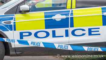 Three arrested as car crash leaves two cyclists dead