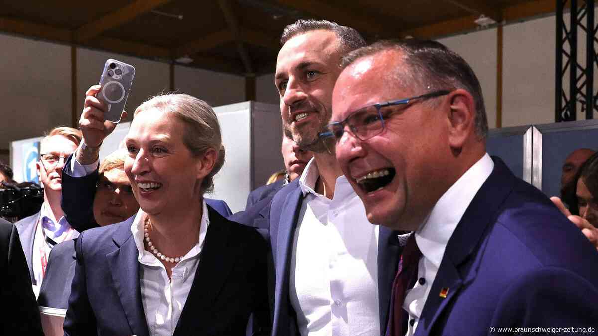 AfD-Chef erhebt Machtanspruch in Sachsen-Anhalt ++ sogar Trump meldet sich