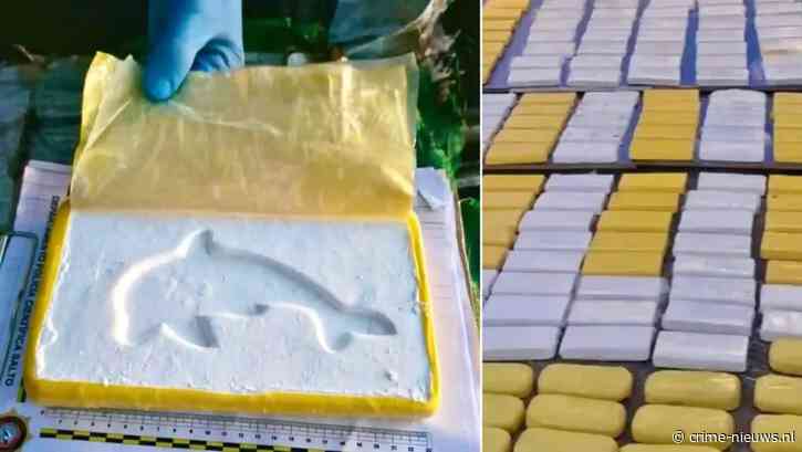 Arrestaties na droppen honderden kilo’s cocaïne met dolfijn stempel uit vliegtuig