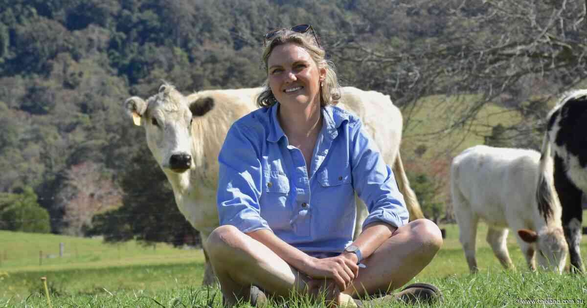Commercial advantage: the old cattle breed making a quiet comeback