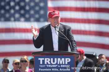 Donald Trump's Hair Takes a Darker Turn as New Look Sparks Internet Frenzy