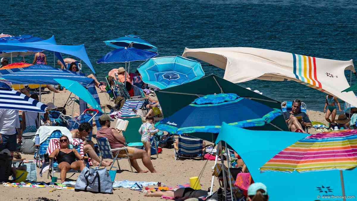 How a booming coastal escape learned to coexist with the ocean’s top predator