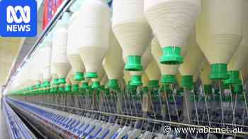 Spinning mill blueprint could provide path to manufacturing revival
