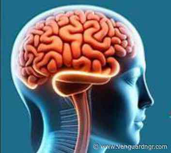 Brain drain: Nigeria risks losing more eye specialists, OSN warns