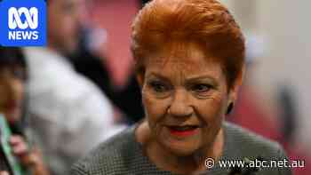 One Nation pushes for early super access for renters and mortgage holders