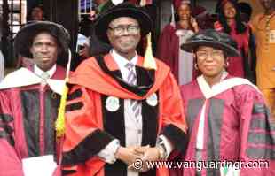Nigeria’s rehabilitation crisis deepens as 80% of occupational therapists leave