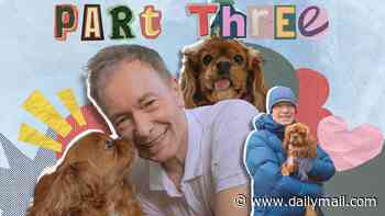 The night before our dog Stan died, the Northern Lights lit up the sky - like heaven opening its door. In the final moving extract from his book, TONY PARSONS opens up about the loss of his beloved spaniel, and the pain every pet owner goes through