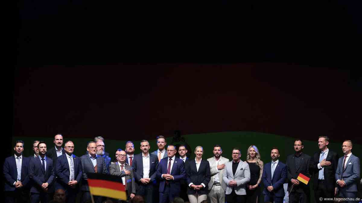 Wahlergebnis in Sachsen-Anhalt: AfD siegt - aber verpasst absolute Mehrheit