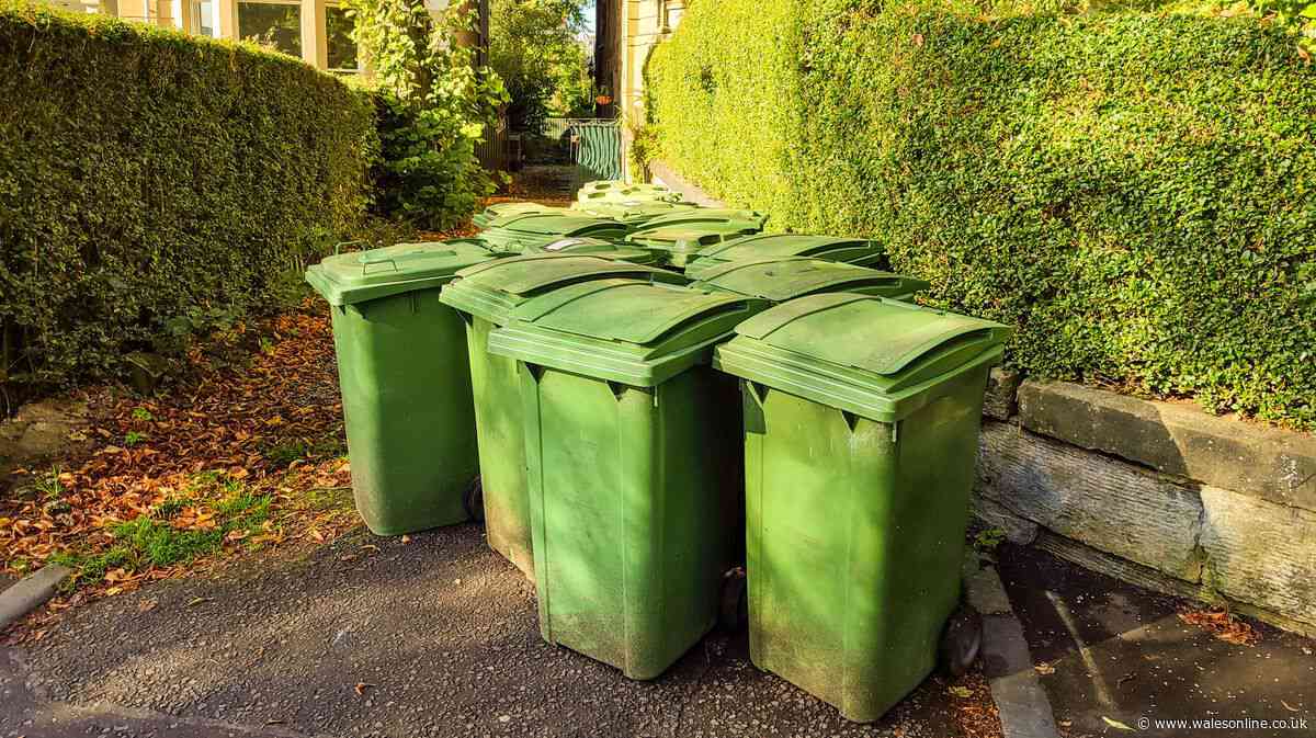 Binman explains why you often find your bins down the road