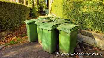 Binman explains why you often find your bins down the road