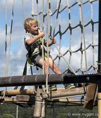 Powassan Fall Fair marks 129 years of community tradition - PHOTO GALLERY
