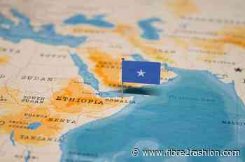 Somalia joins AfCFTA as 50th ratifying country