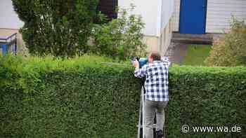 Wie hoch darf die Hecke zum Nachbarn wirklich sein? Das sagt das Gesetz