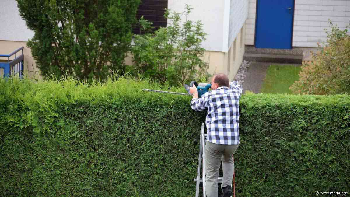 Wie hoch darf die Hecke zum Nachbarn wirklich sein? Das sagt das Gesetz