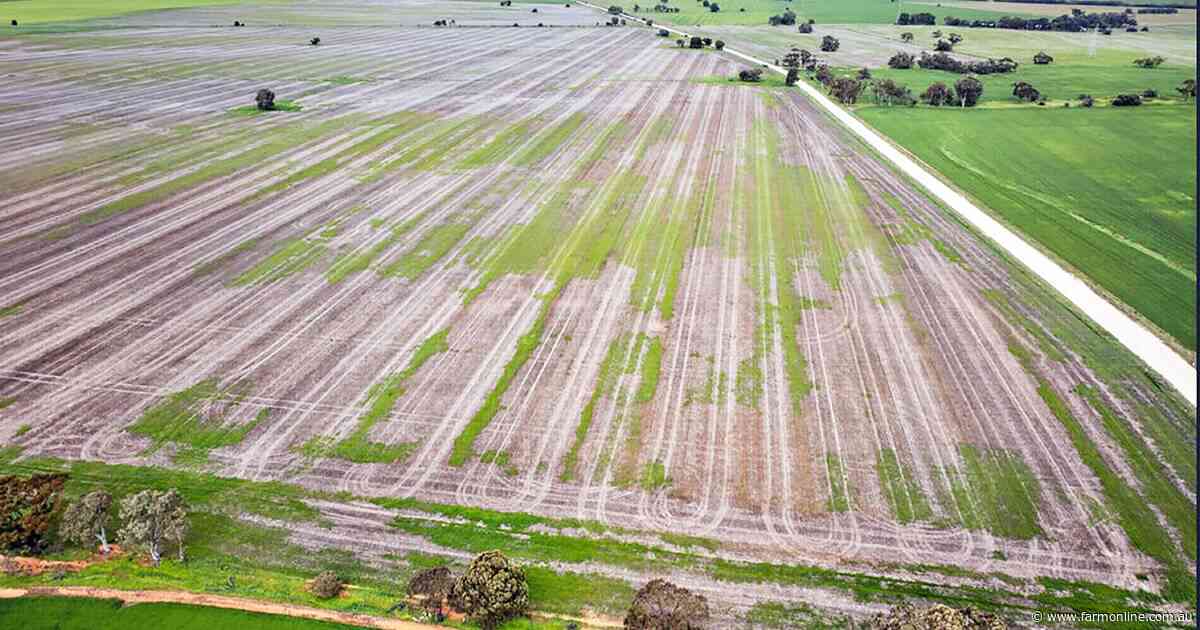 Black family parts with 348ha SA farm after 100 years