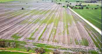 Black family parts with 348ha SA farm after 100 years