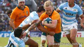 Wallabies playmaker set to miss Springboks, All Blacks Tests after fresh injury blow