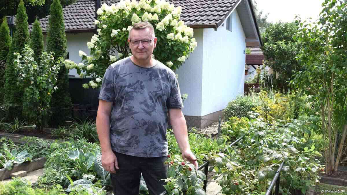 Kleingärtner erschafft Oase und freut sich über Ernte – „Denen kann man beim Wachsen zusehen“
