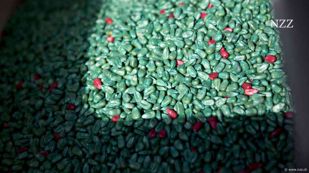 Die Syngenta-Übernahme ist bis heute der grösste chinesische Firmenkauf im Westen – doch die Erfolgsbilanz ist mager