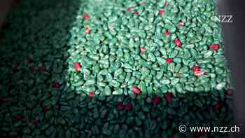 Die Syngenta-Übernahme ist bis heute der grösste chinesische Firmenkauf im Westen – doch die Erfolgsbilanz ist mager